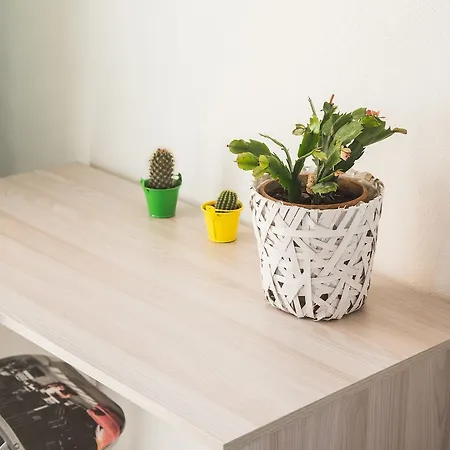 Cattedrale לינה וארוחת בוקר 3*